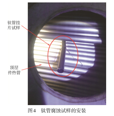 1646703522570607.jpg t4.jpg