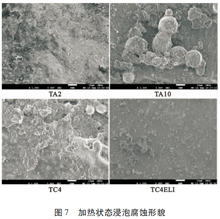 1685415799830759.jpg t7.jpg