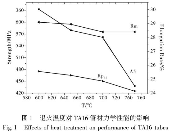 1686278039859539.jpg t1.jpg