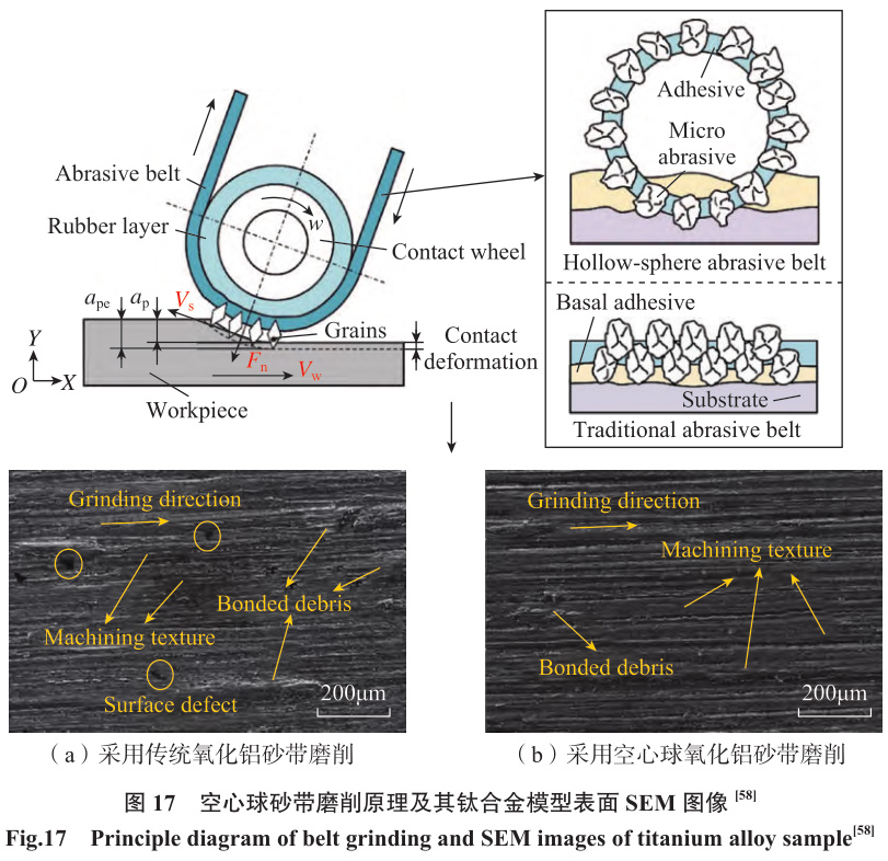 1692266075656401.jpg t17.jpg
